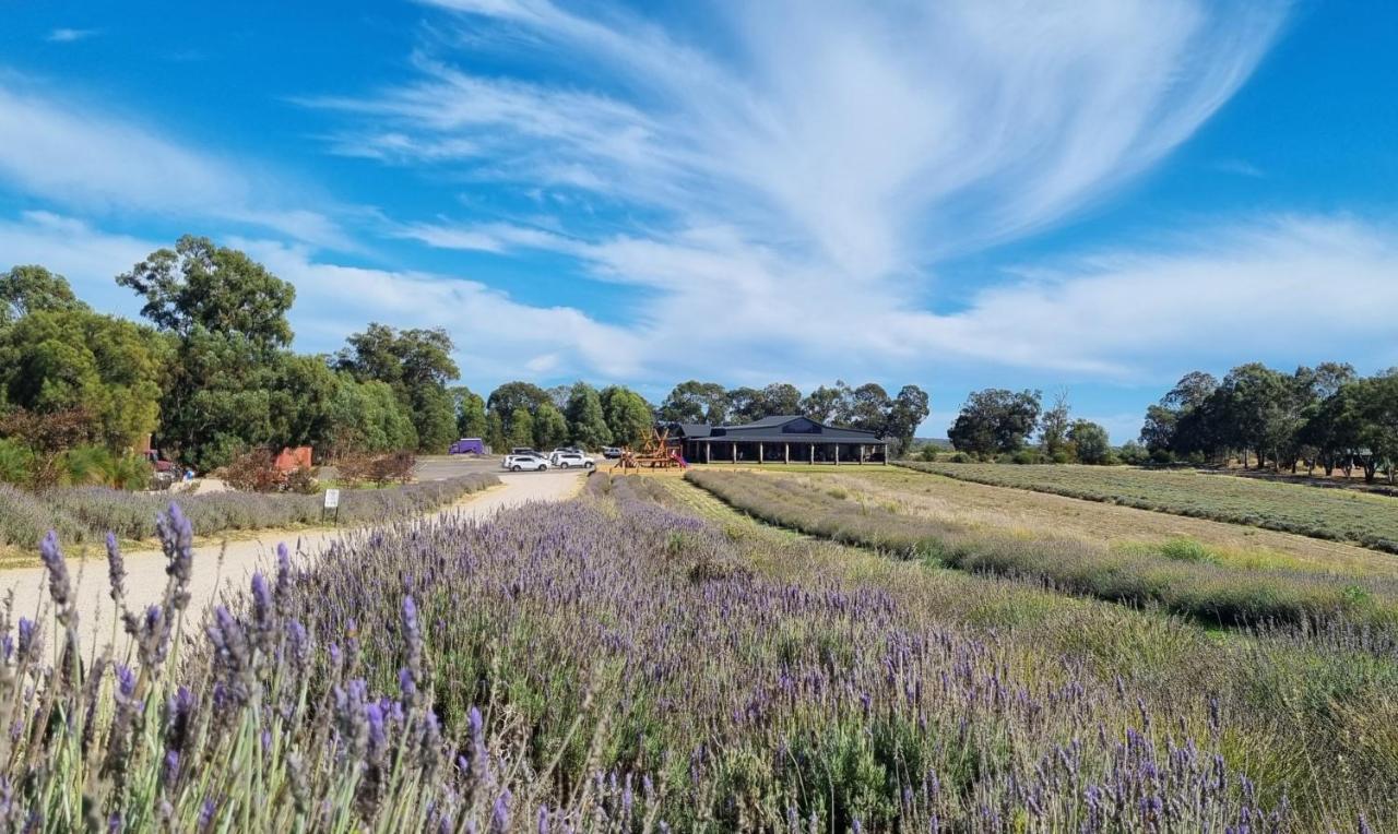 Shabby Chic Shack - 2 Bedroom Beach Cottage Yanchep Bagian luar foto